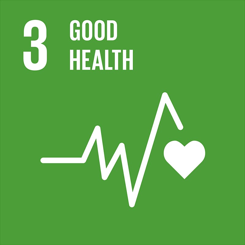 SDG 3